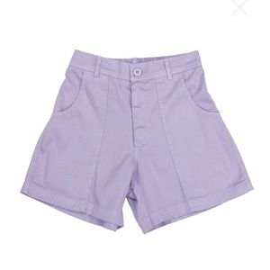 Jungmaven Hemp Small Venice Shorts Purple NWT